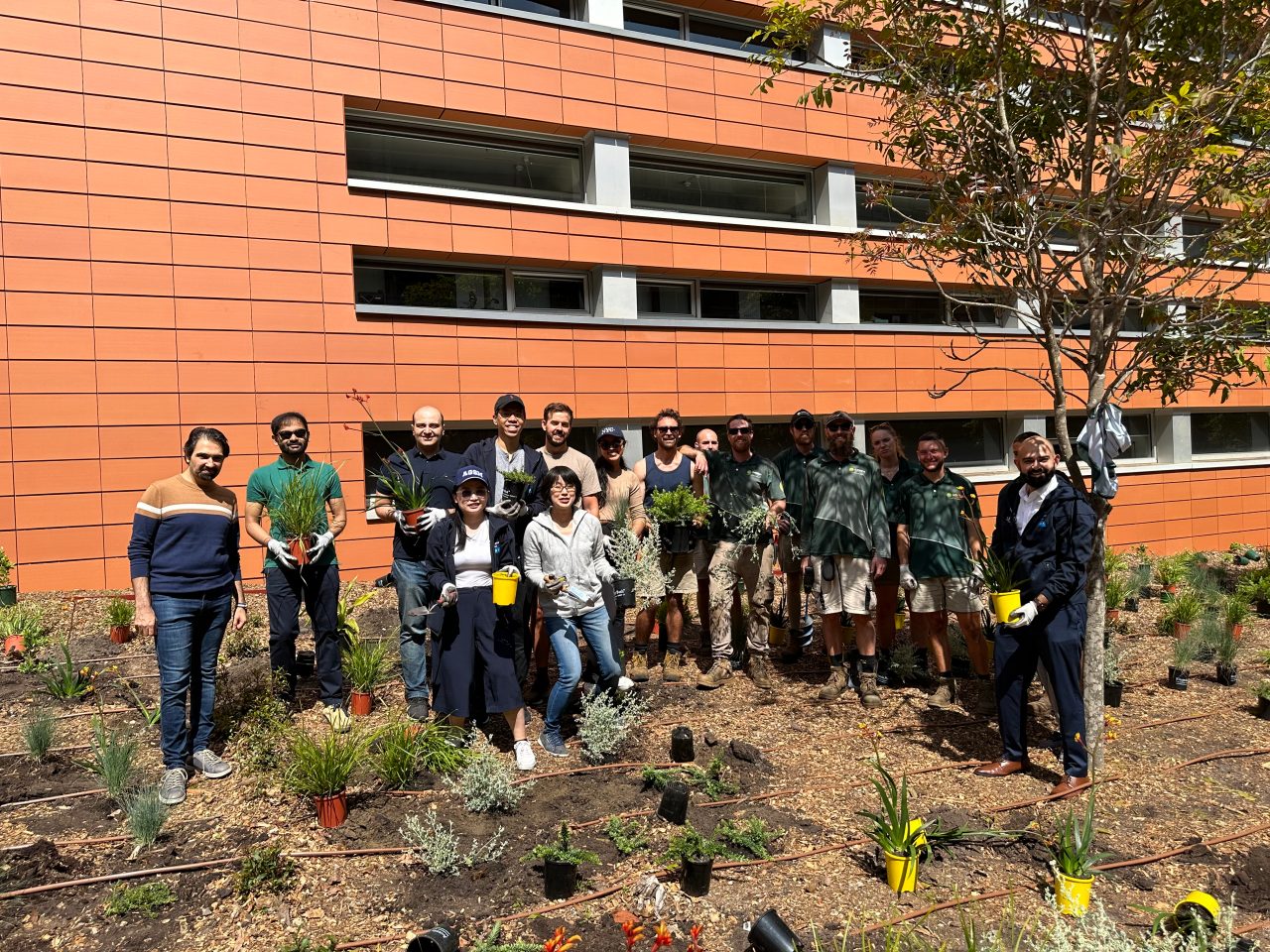MBA and HDR Business School Student Volunteers helped the UNSW Landscaping team plant 1,200 plants alongside the Red Centre.