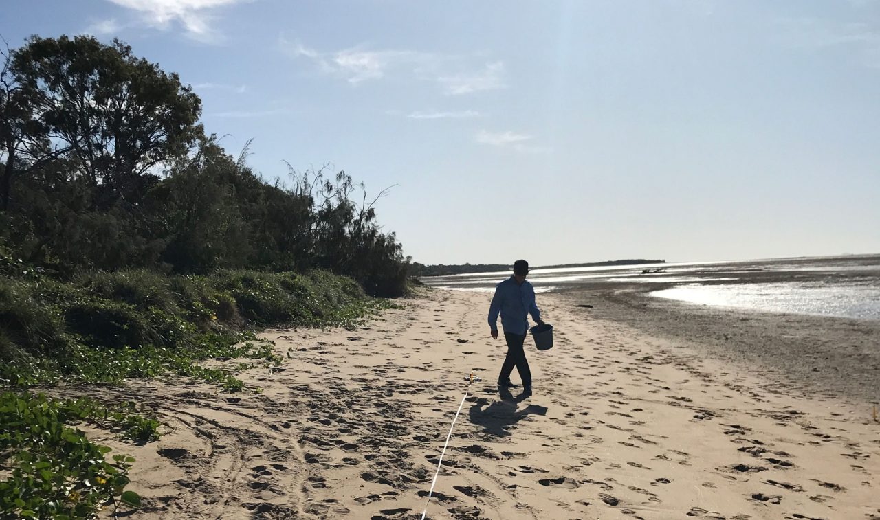 Volunteers scouring the beach at a monitoring event at Yandaran Creek in Bundaberg on Taribelang Bunda, Gooreng Gooreng, Gurang, and Bailai Country