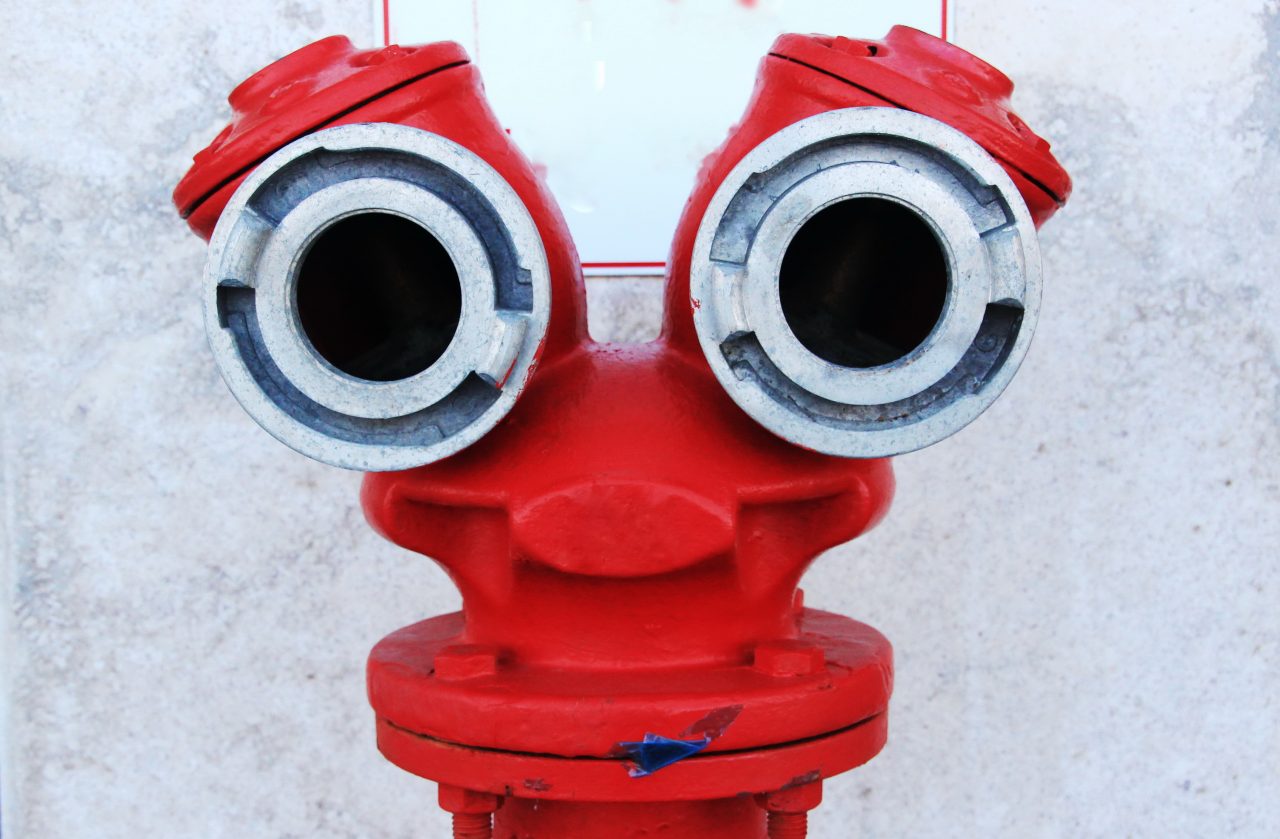 Fire hydrant, similar to the head and face of a funny cartoon character.