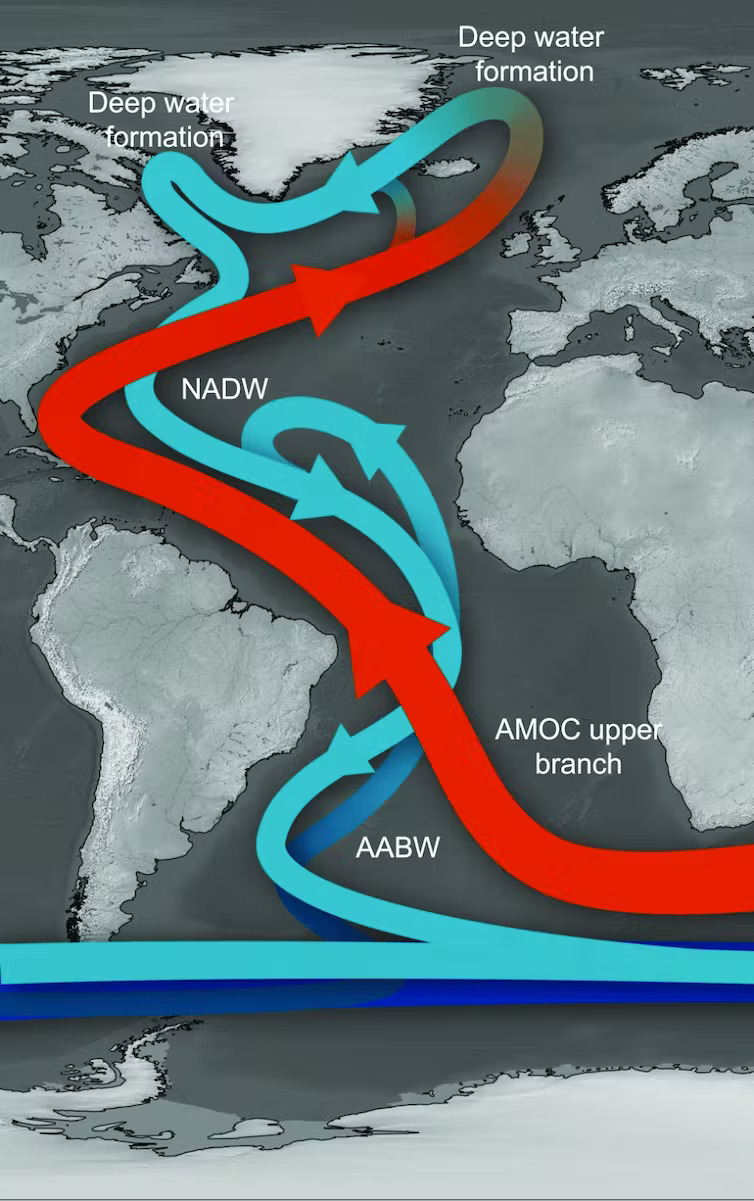 "The main components of the Atlantic meridional overturning circulation. The northward flowing upper branch (red arrow) transports warm salty waters to the North Atlantic, and forms the North Atlantic Deep Waters (NADW) at high latitudes. The southward flowing NADW lies above the Antarctic Bottom Water (AABW).  "