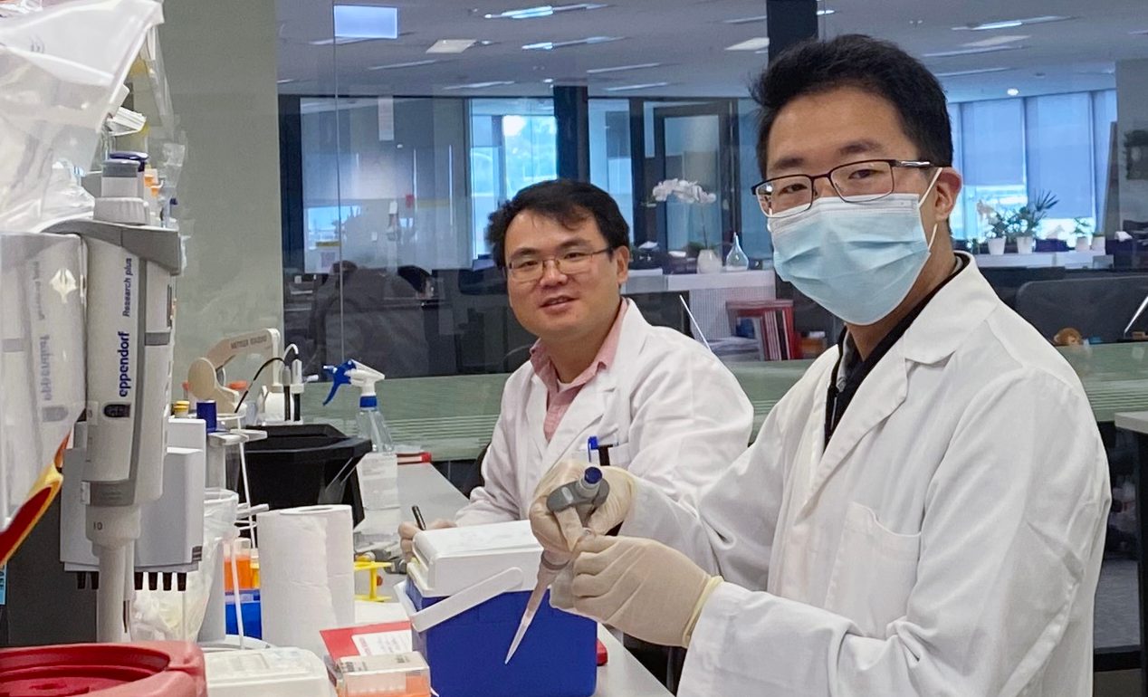 Dr Li Yi and Dr Fei Deng in the lab at the UNSW School of Chemical Engineering