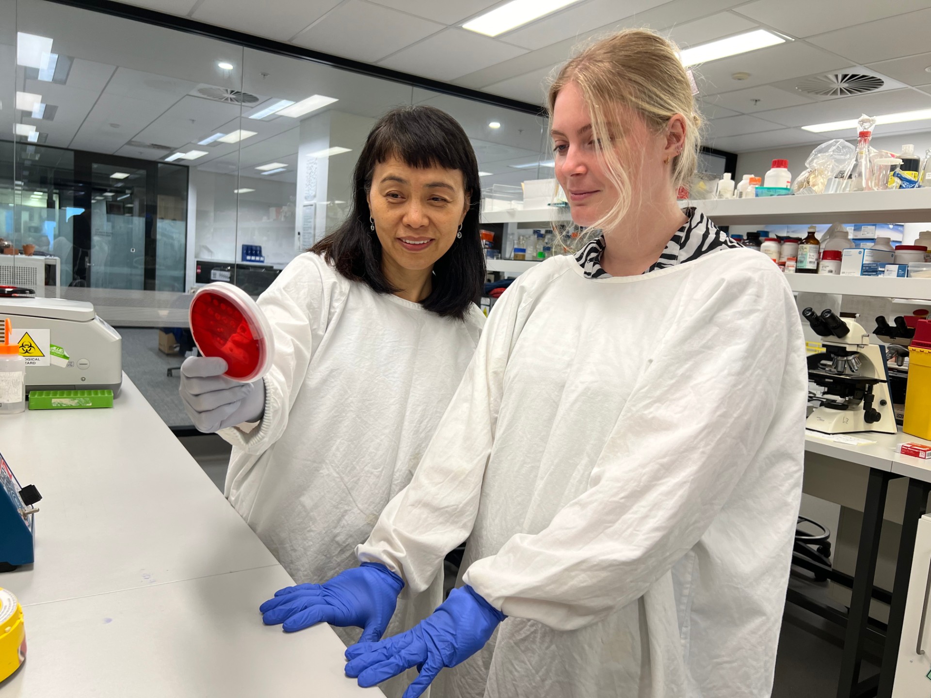 A/Prof. Li Zhang and Ms Alex Young in the lab