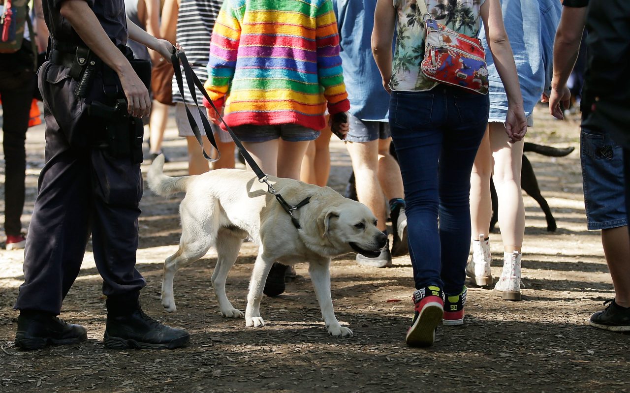 BYRON BAY, AUSTRALIA - JULY 22:  Police officers and drug detection dogs walk amongst festival goers before entering Splendour in the Grass 2016 on July 22, 2016 in Byron Bay, Australia.  (Photo by Mark Metcalfe/Getty Images)