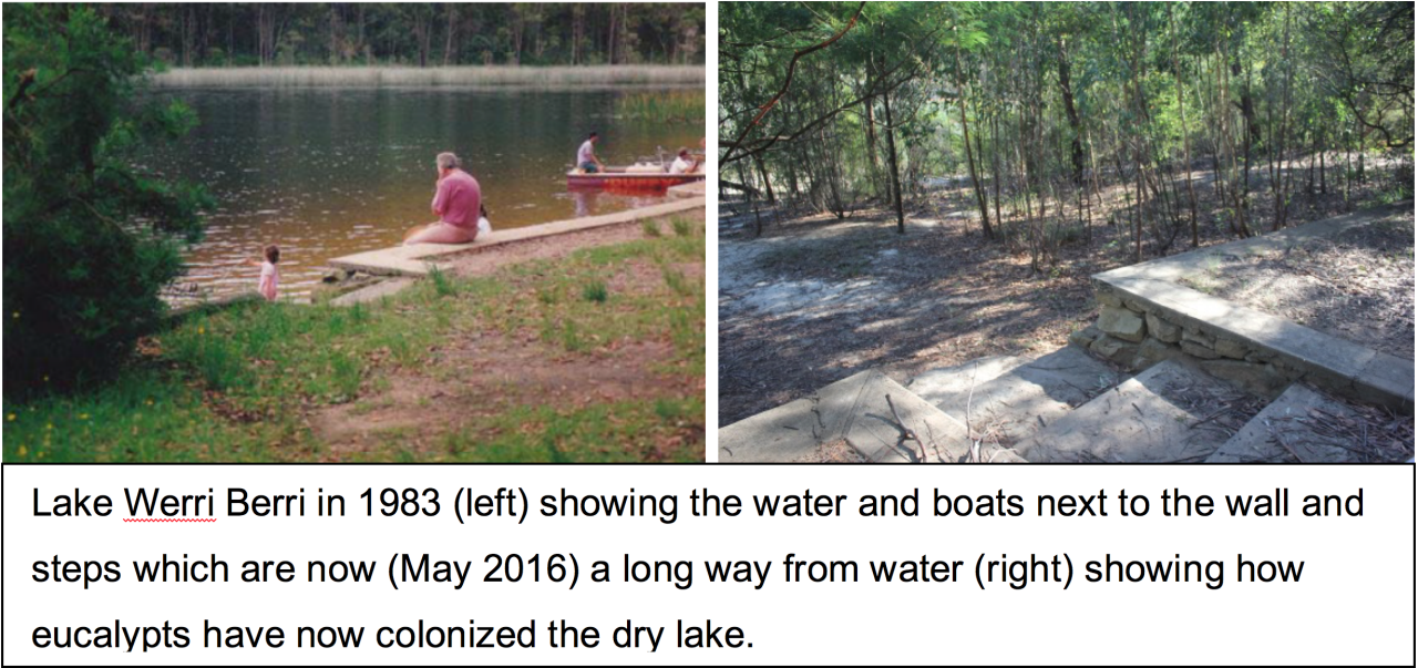 Lake Werri Berri in 1983 and in 2016