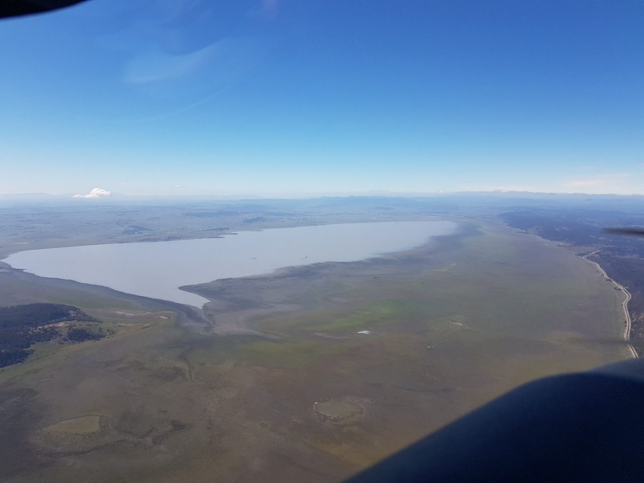 2017 Waterbird Survey 60