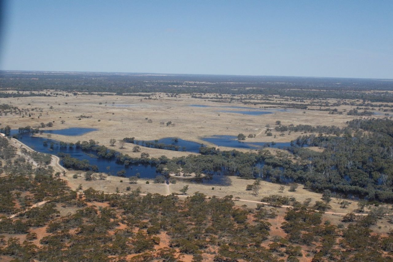 2017 Waterbird Survey 64