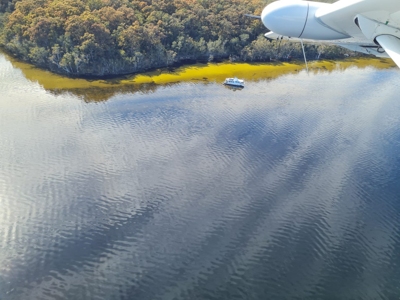 Photo from air of boat at estuarine lake edge and vegetation. Wing of aircraft in photo. 