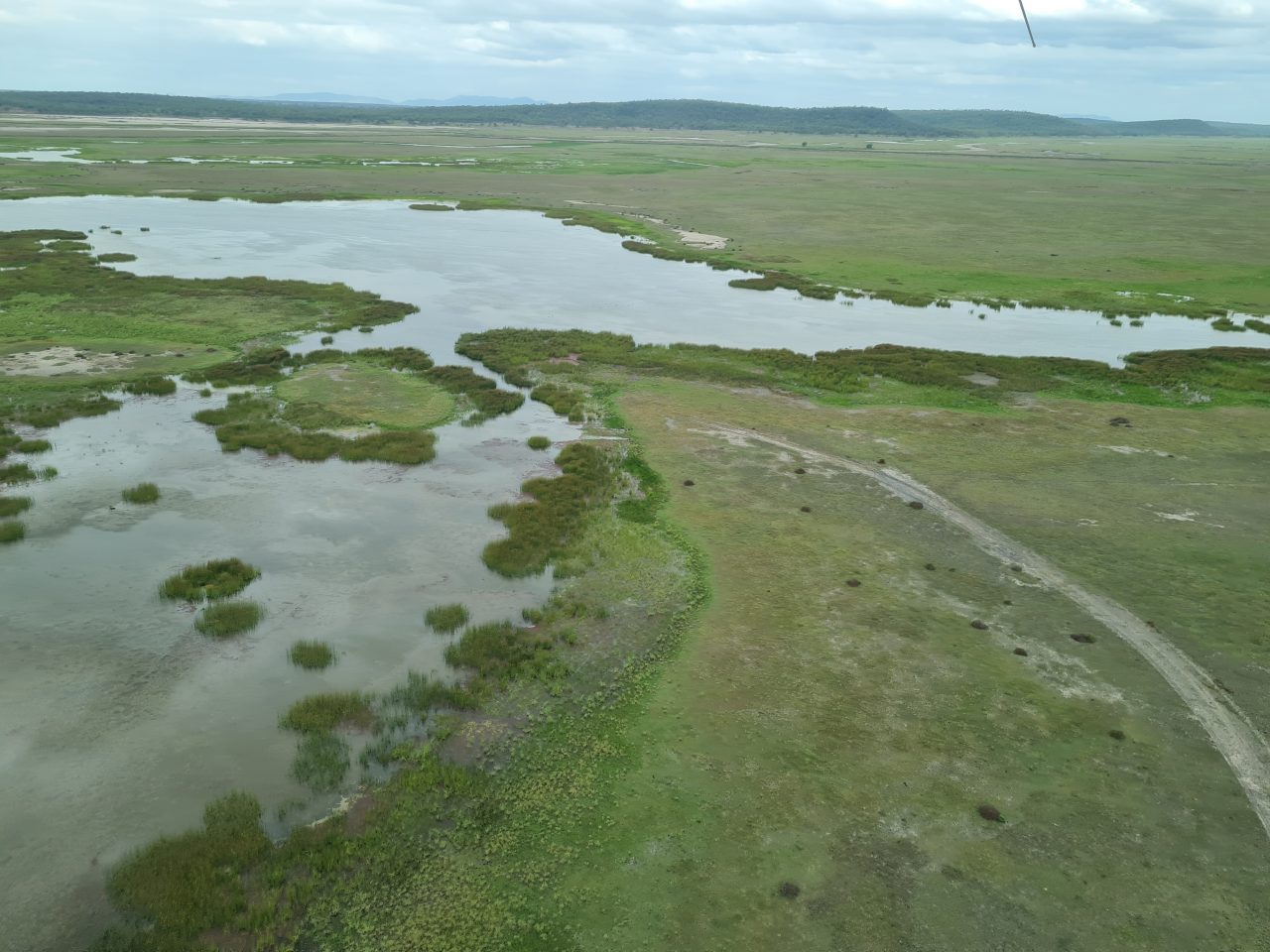 Photo from air of wetland surrounded by green vegetated floodplain, hills in distance , sky in cloud cover