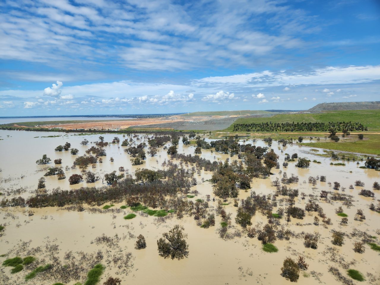 Aerial photo of inundated floodplain that has redgum trees  also being inundated. The water is brown, The sky is blue.
