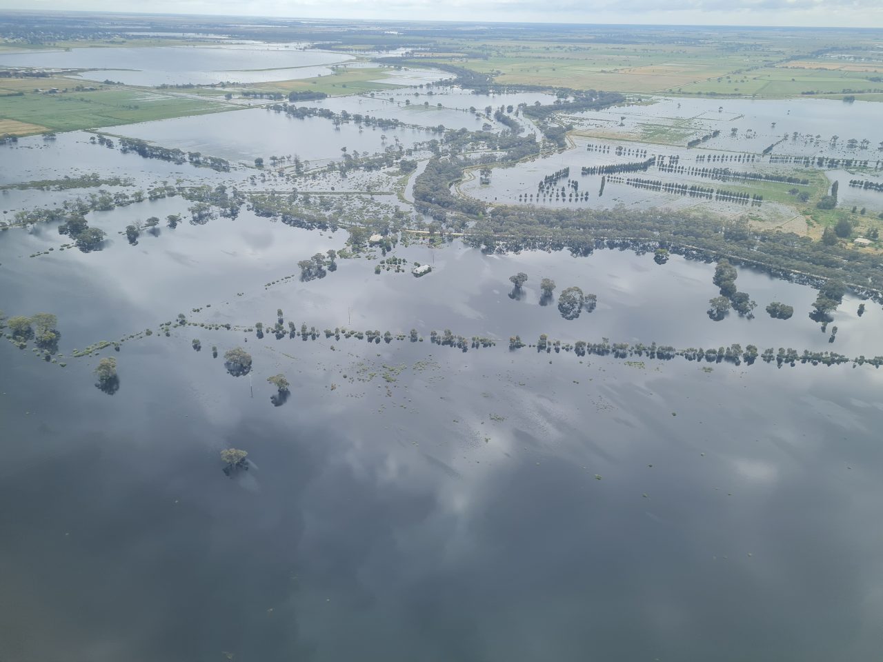 Aerial photo of farm paddocks inundated with water.