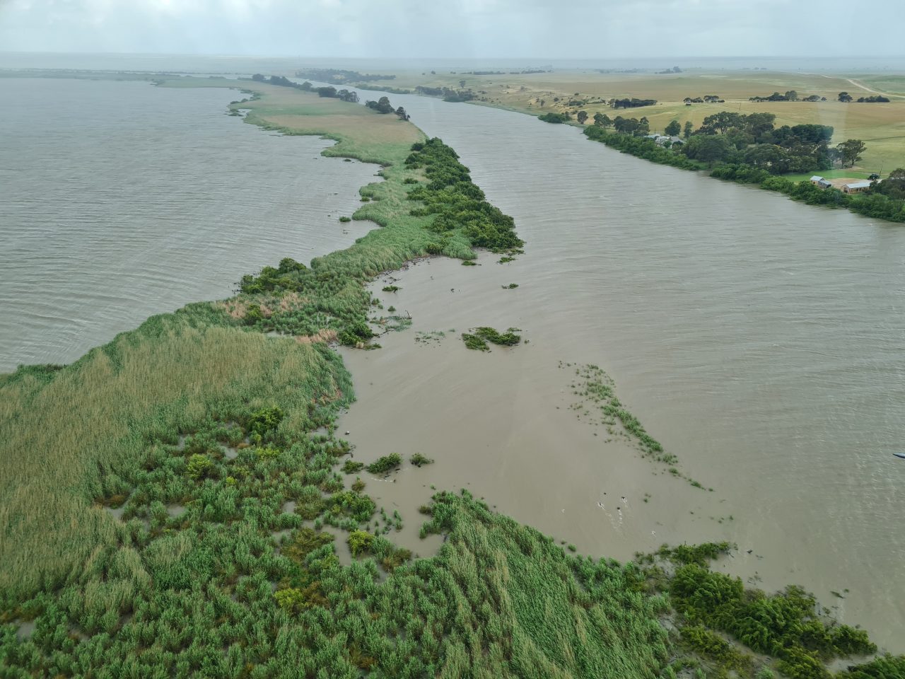 Aerial photo of a lake being divide by a long thin vegetated island.