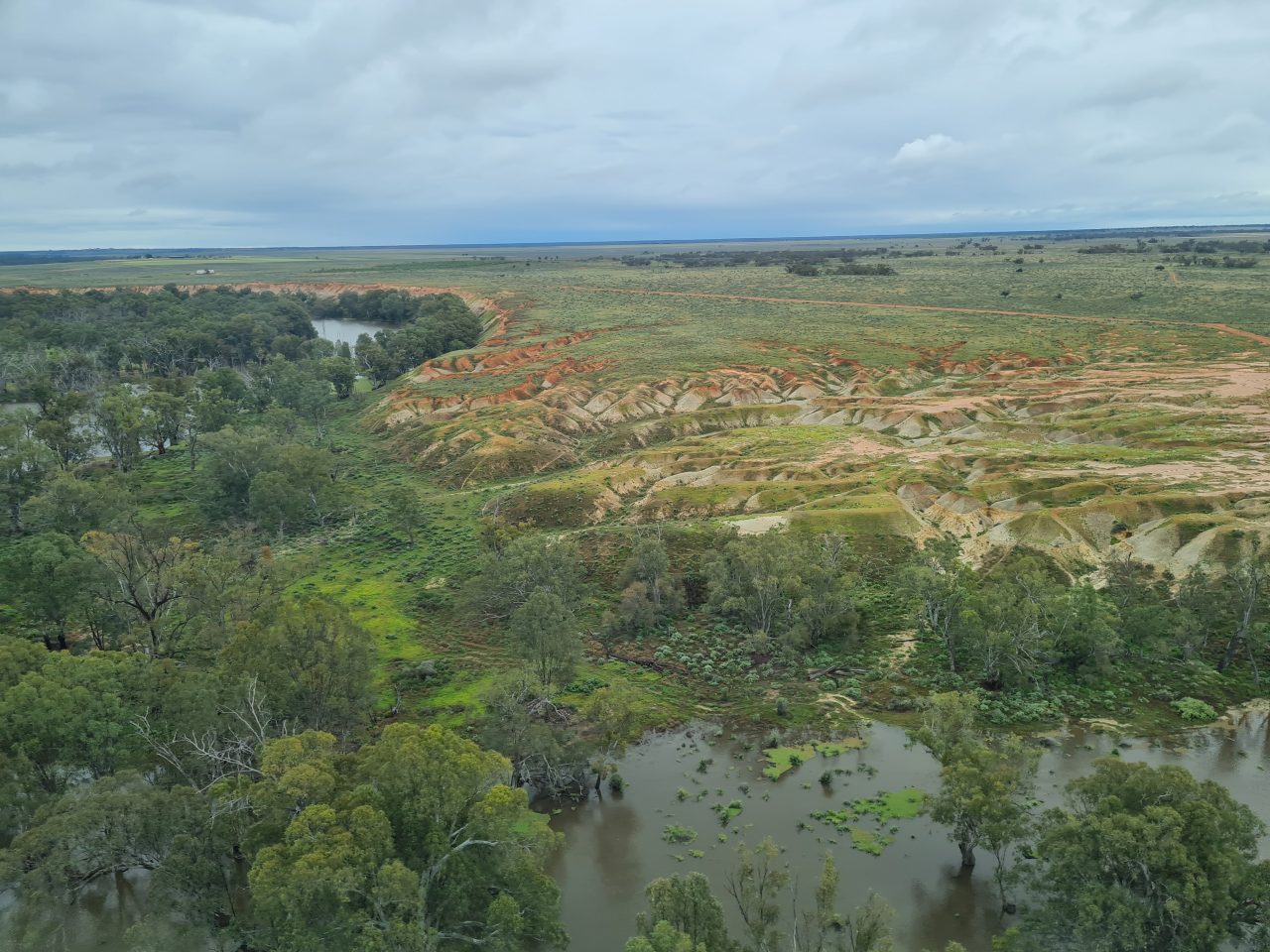 Aerial photo of flooded flowing river spreading beyond the tree lined banks. The surrounding floodplain is green and vegetation is covering the eroded orange soil  formaitons along the edge of the floodplain by the river. The sky is cloudy and grey.