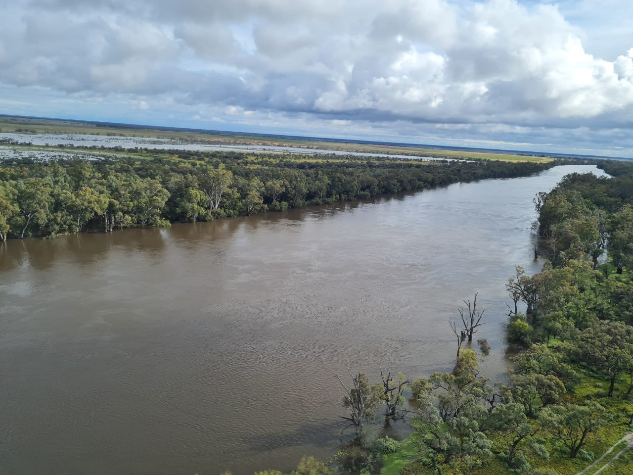 Aerial photo of a long straight stretch of river that is very high and running. The water is spreading beyond the banks onto the floodplain. The banks are lined with trees that are inundated with water. The sky has patches of blue between very thick clouds, however the sun is breaking through on one section.