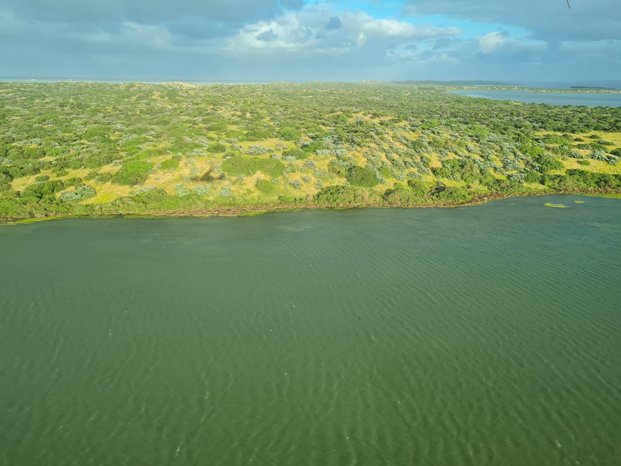 Aerial photo of coastal lakes and islands vegetated with green low level plants.