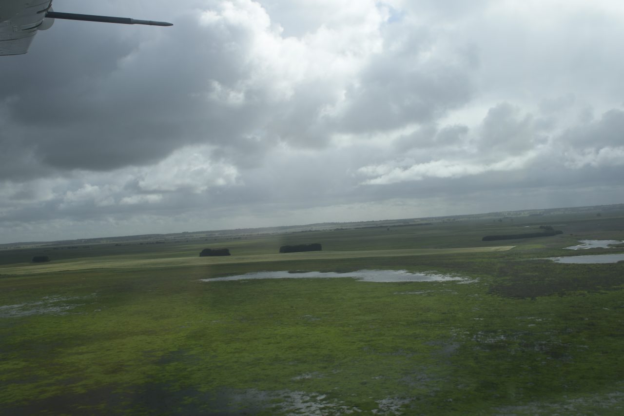 Aerial photo of a large floodplain wetland with visible patches of surface water amongst green ground cover with sections of tree hedging underneath a grey cloudy sky