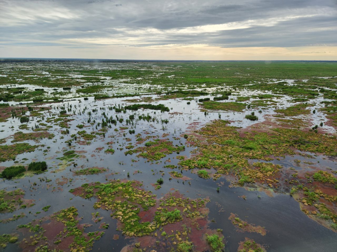 Aerial photo of vast inland wetland with a landscape scale patchwork of low level islands covered in green vegetation inundated by water