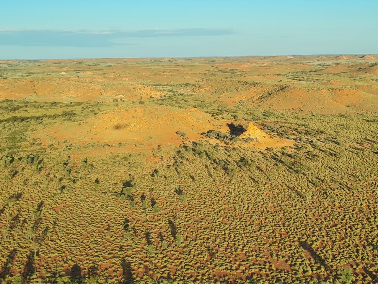 Aerial photo of a floodplain filled with numerous peaks covered in low level vegetation over red soil taken at sunrise giving the landscape a golden glow 