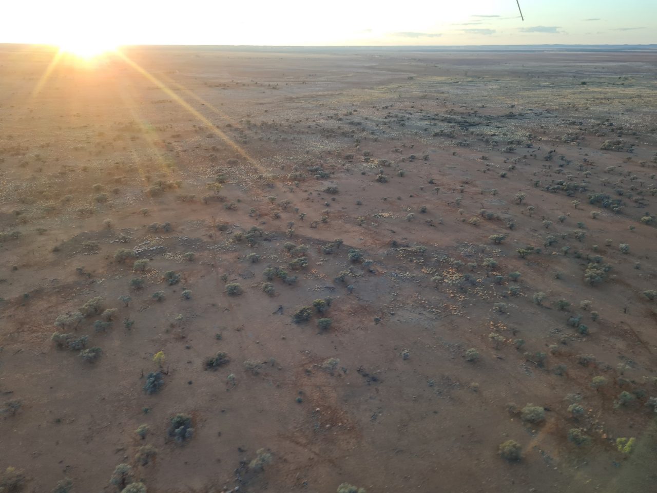 Photo from air of sparsely vegetated outback floodplain with orange soil as sun appears above horizon in a glowing ball casting sun rays over the landscape