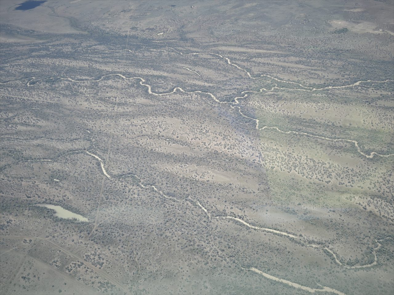 Aerial photo of a vegetated floodplain filling the entire frame broken up by meandering, intertwining channels with beige coloured water 