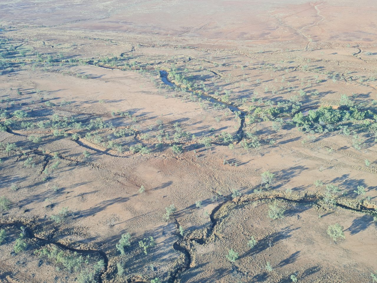 Aerial photo at sunrise of red soil floodplain with interweaving creek channels lined with vegetation becoming sparse over floodplain
