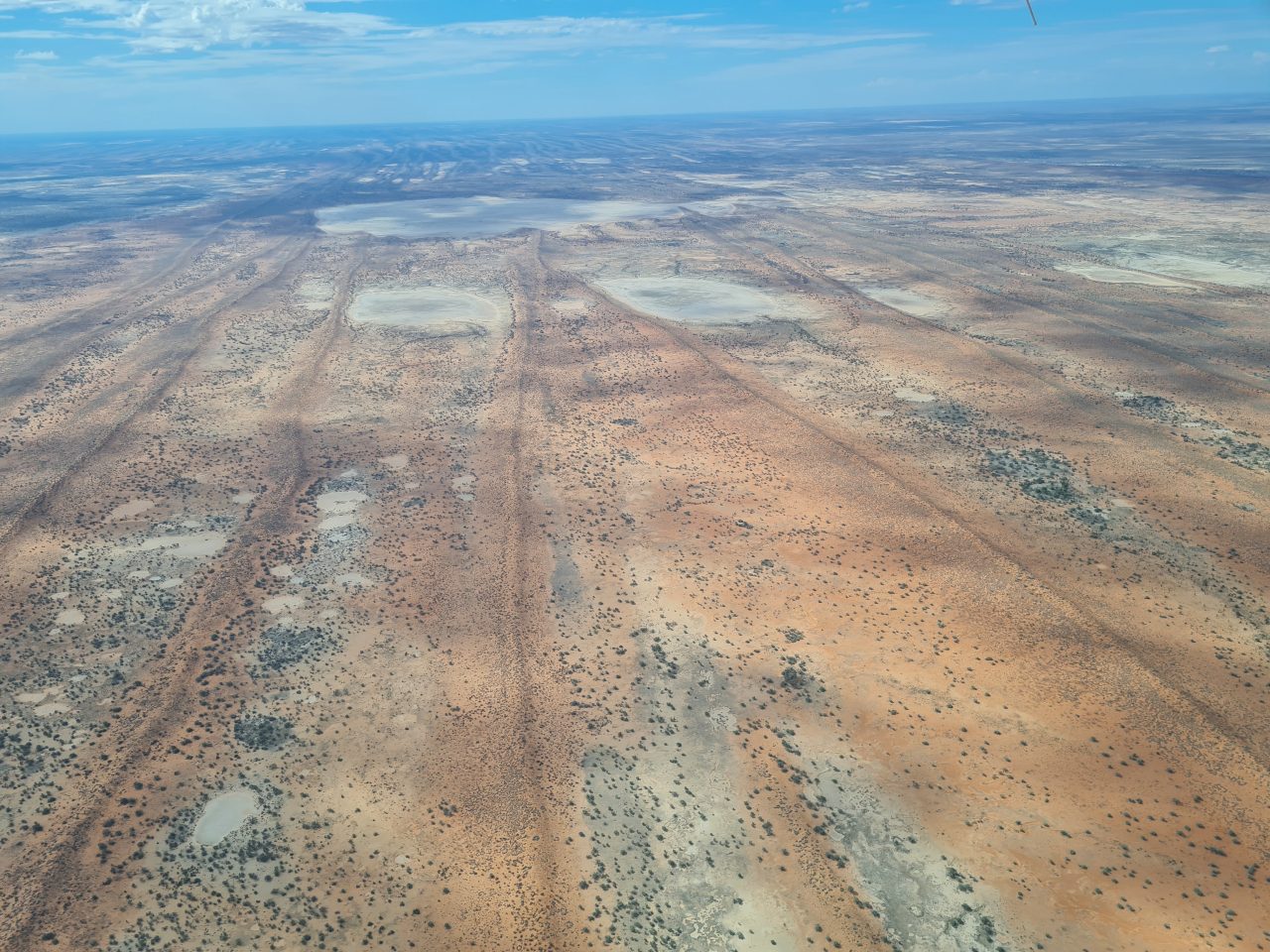 Aerial photo of outback Queensland. Long almost straight sand dunes are lined up with dry grey lakes lying between them. Sparse vegetation is also clustered between the orange sand dunes. Sky is blue and clouds are very high.