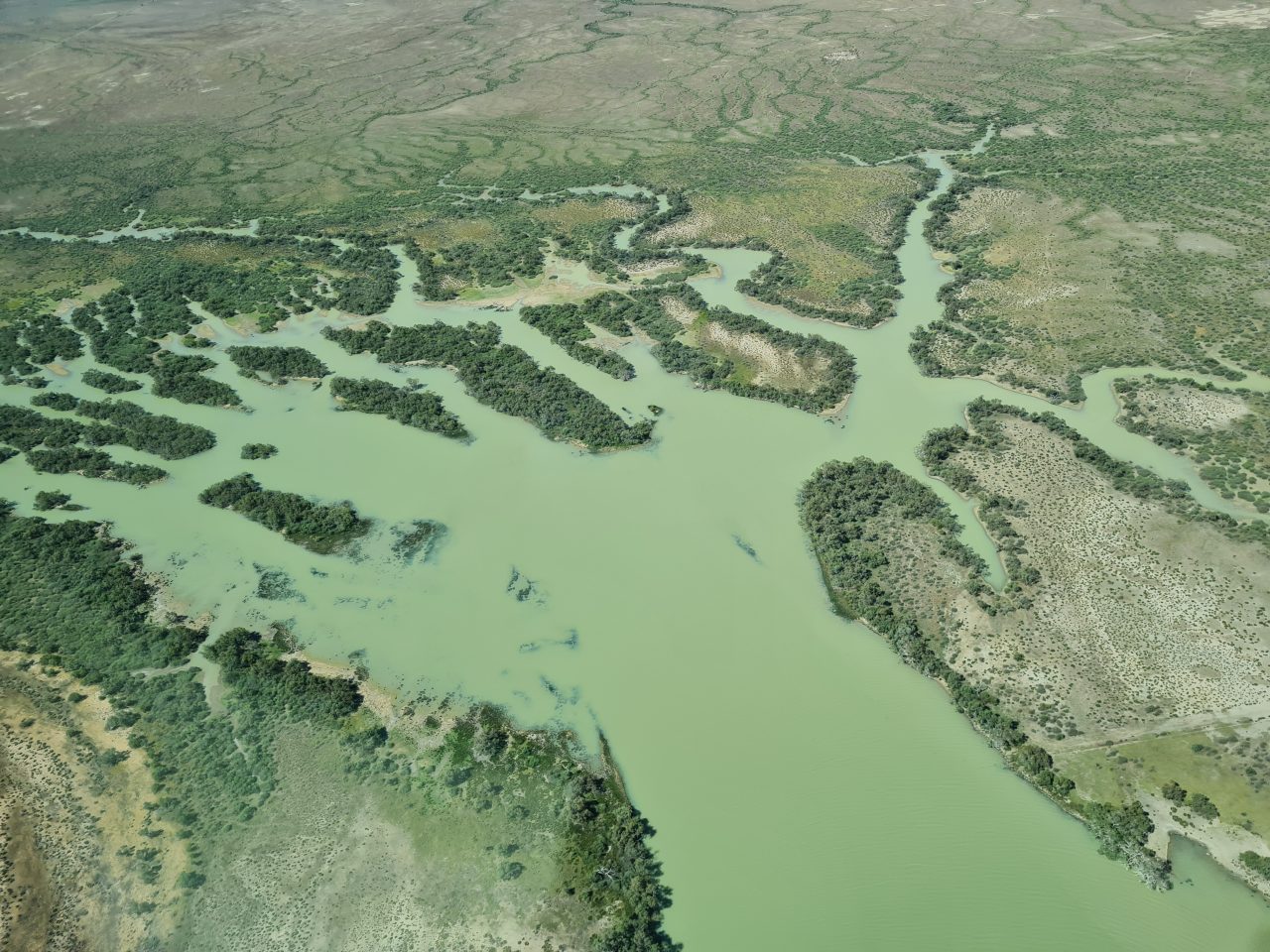 Aerial photo of light green water in creek runners combining into a larger flow that is lined with trees and has smaller vegetated islands at the top of the flow until they run out and the water surface takes over. The floodplain in the background has tree lined creek runners meandering across it in long dark green tendrils
