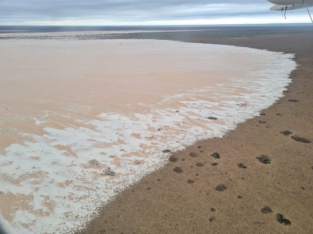 Aerial photo of flood water moving over floodplain. Water has a pinkish hue .