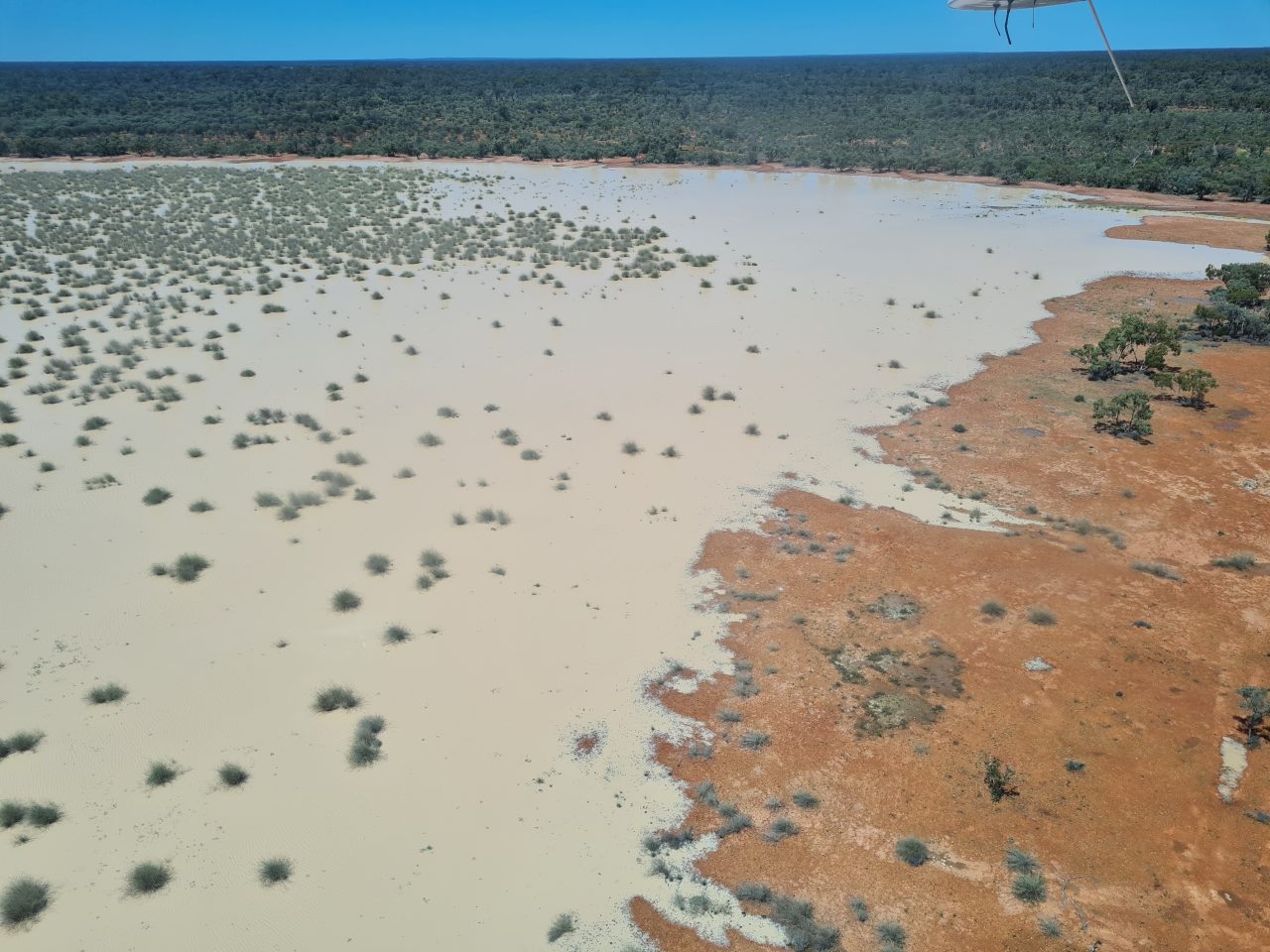 Aerial photo of flot orange soil being covered by beige water with trees and shrubs surrounding the orange soil. Trees in background stretch to the horizon and meet a bright blue sky. 