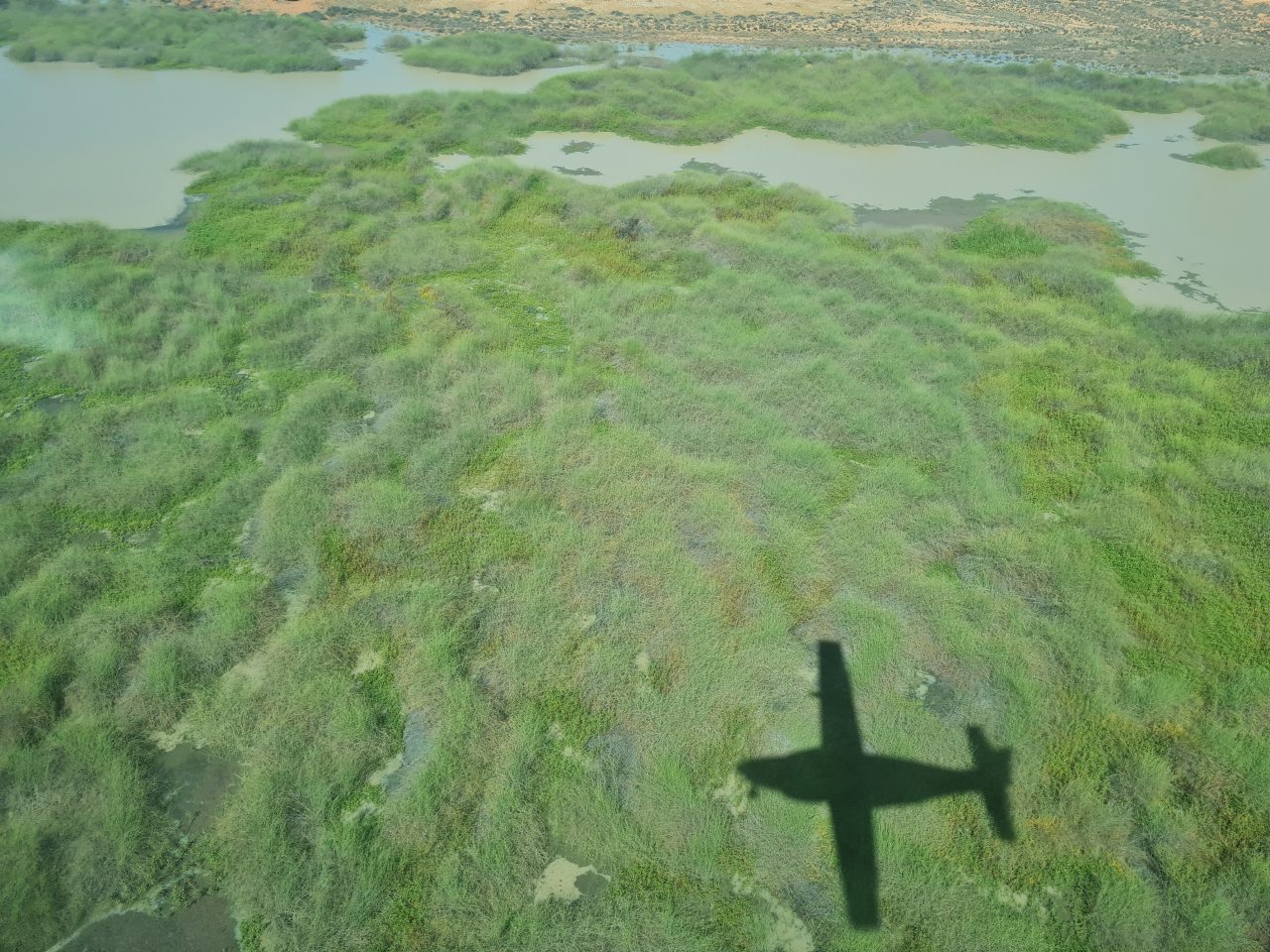 Aerial photo of a lake with lush green vegetation growing on islands in the lake. Contrasting orange sandy soil at lake edge in background. Shadow of plane in foreground.