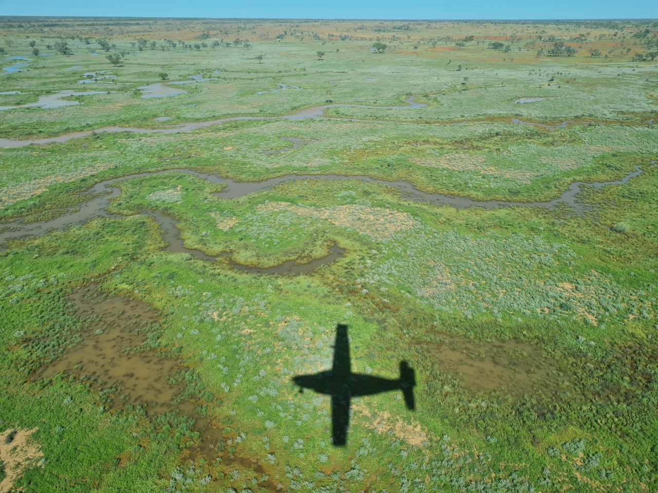Aerial photo of green vegetated landscape and very full creek channels with brown water meandering across the floodplain.  Shadow of the aircraft is in foreground of photo. Small strip of sky above the horizon is clear and blue.