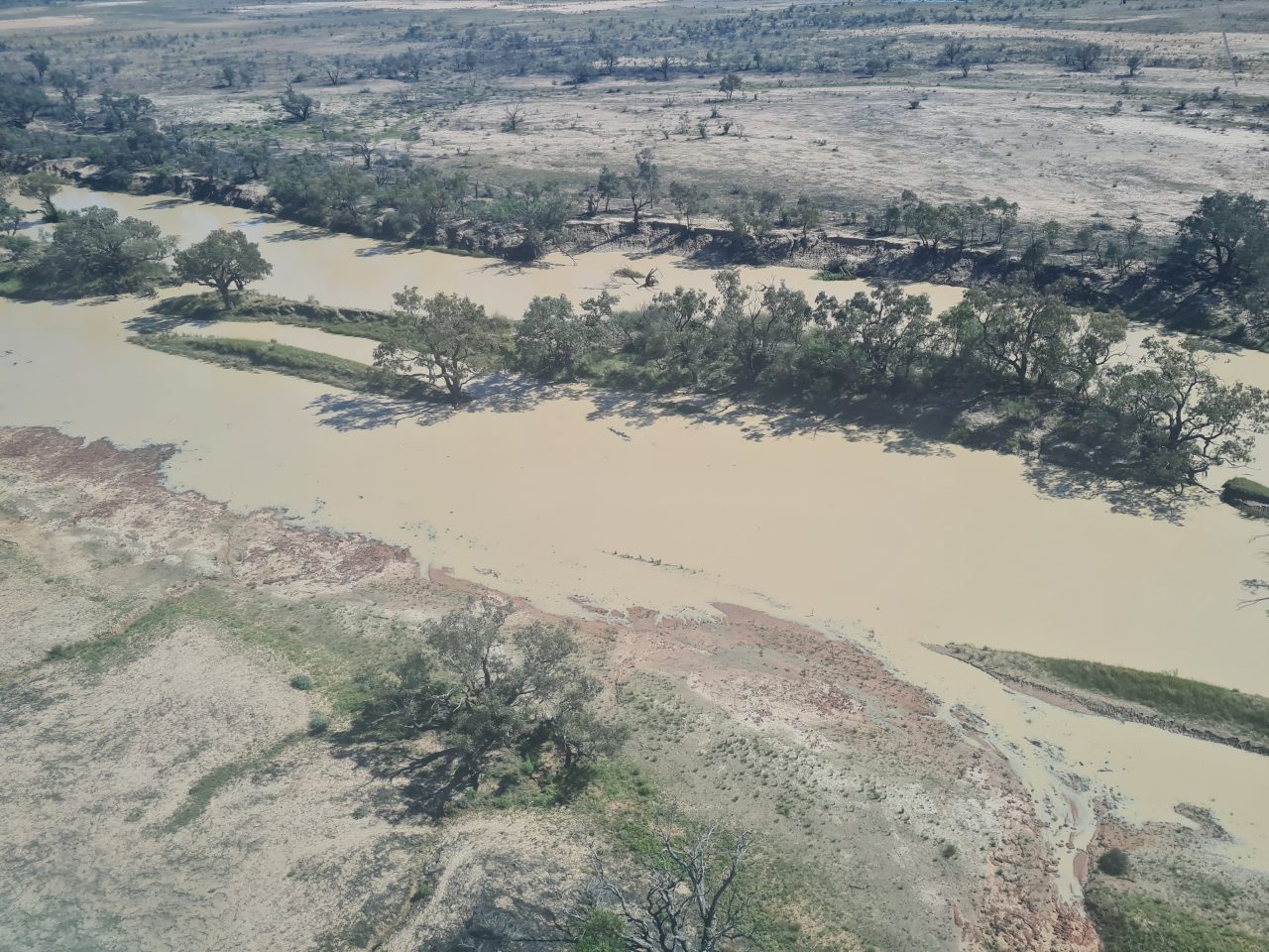 Aerial photo of river, river banks and floodplain. River has dark beige water and is full enough to be moving out onto floodplain on one side.  Trees and shrubs grow on an island in the river and along one bank. Soil is orange brown and covered by patches of green and light yellow ground vegetation. 