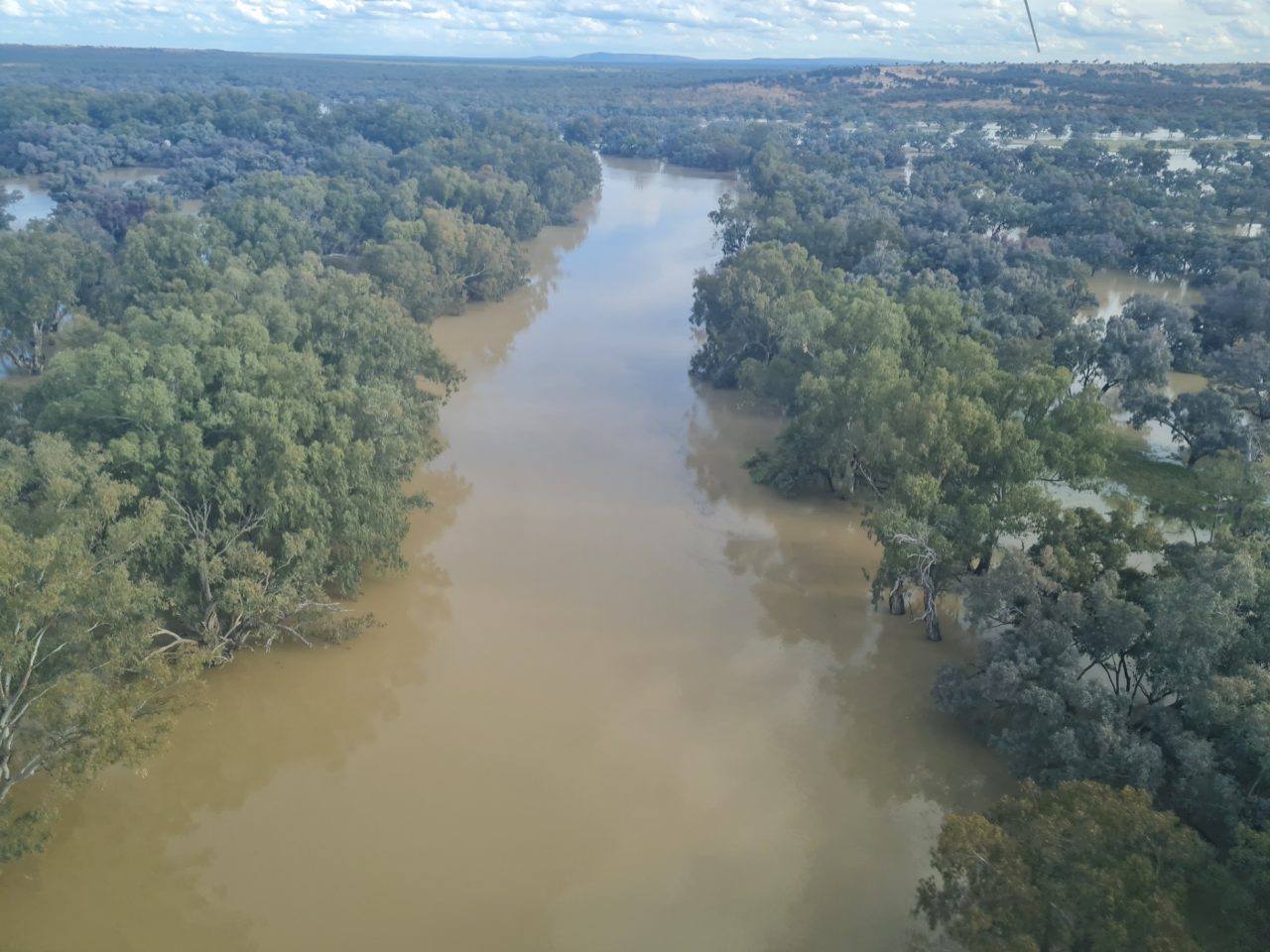 Aerial photo of flooded river with water running over the tree lined banks and onto the floodplain