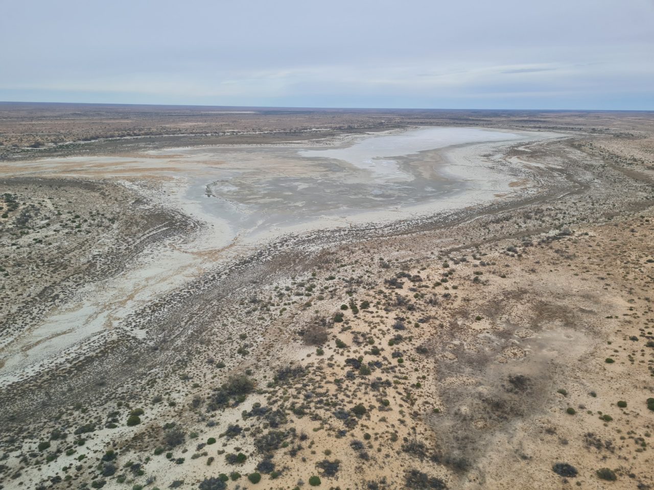 Aerial photo of a dried out desert lake in outback SA. Lake bed is white & light grey, the land around is flat, and sandy with a sparse ground cover vegetation