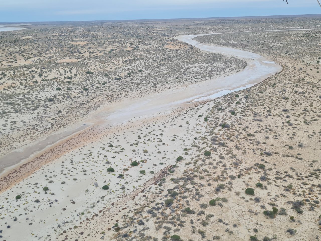 Aerial photo of large creek bed meandering across the desert landscape with a few remaining patches or puddles of water.