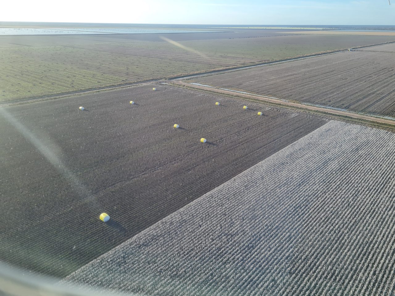 Aerial photo of cotton fields, some harvested with a couple of bales still remaining, some not harvested yet, others still in growing phase.  Landscape is very flat out to the horizon