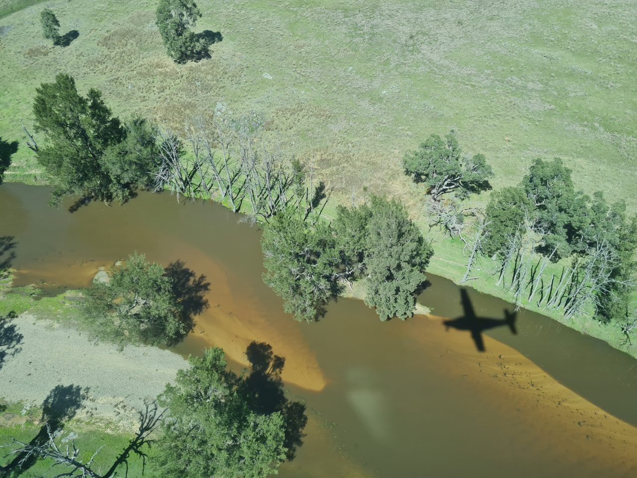 Aerial photo of a river with brown water reaching the river banks. THe surrounding land is green with ground vegetation and a few trees lining the river bank. There is also an exposed gravel section of river bed that is not inundated. The plane shadow is in the foreground. It is a sunny day