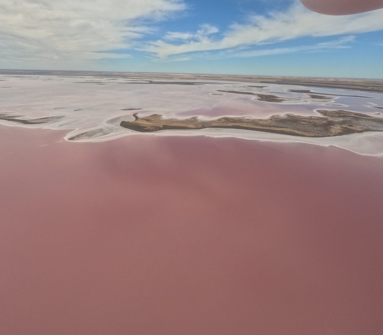 Lake filled with pink water