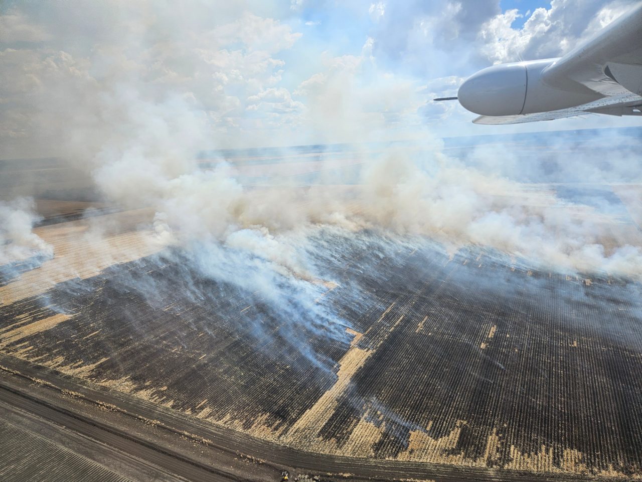 black smoldering field