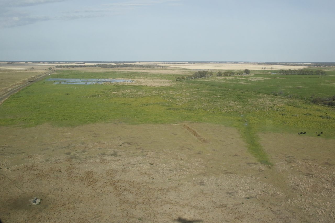 inland wetland
