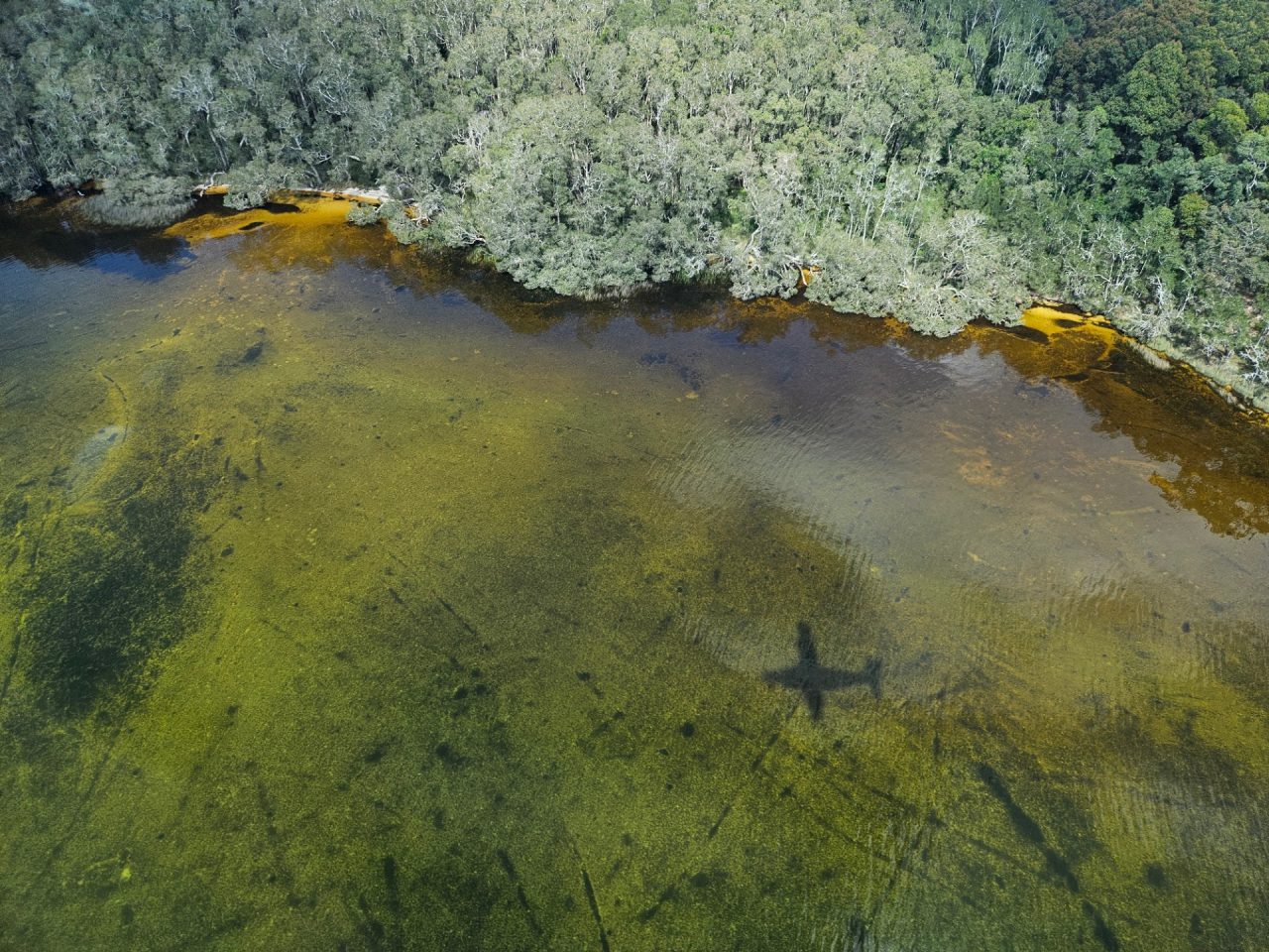 Coastal lake with shadow of plane