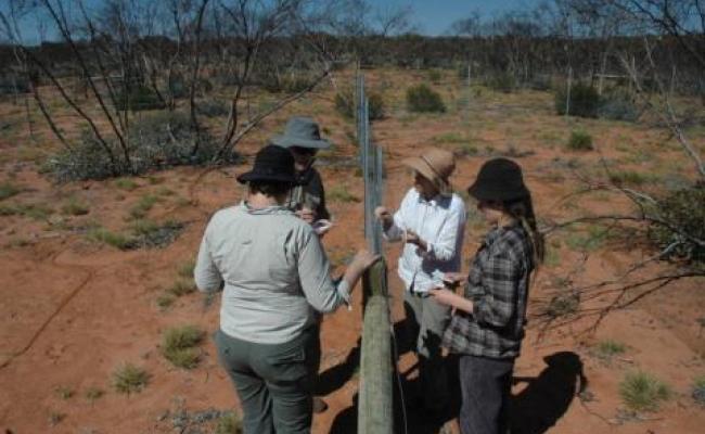 4 person discussion over a fence