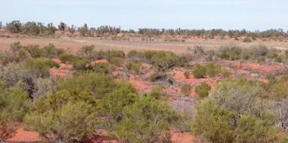 outback Australia