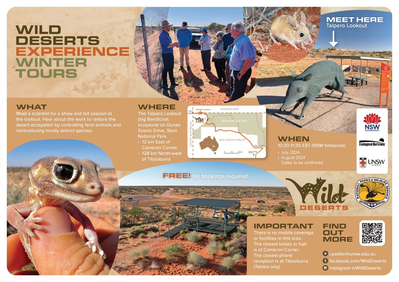 Wild Deserts Tours Flyer - 2024 dates TBC