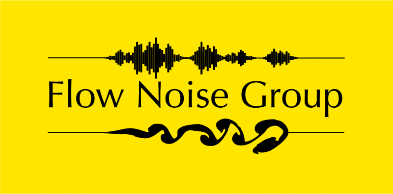 Logo is in black text overlayed on yellow background. The Noise Flow Group UNSW Sydney.