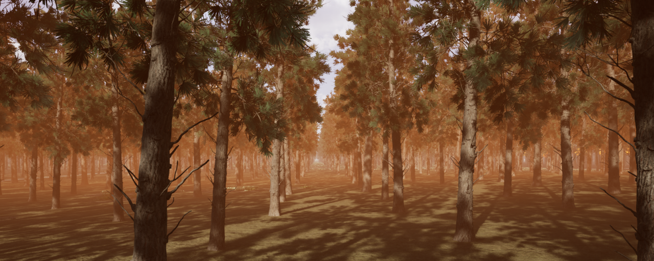 Photo of a cinematic screen displaying a computer-generated forest landscape 