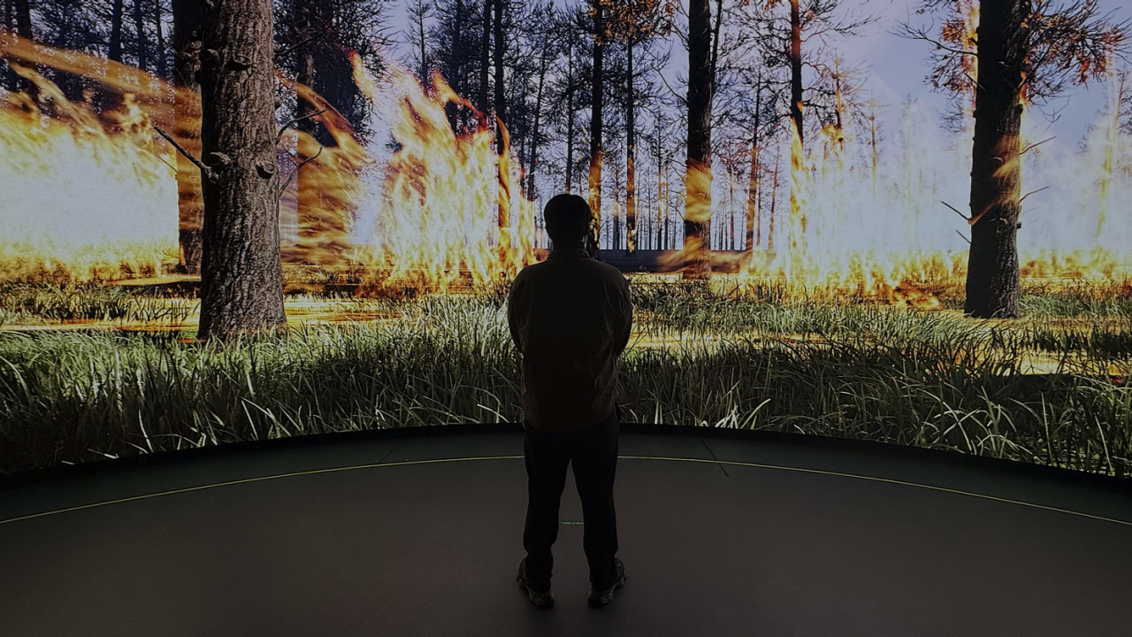 Photograph of a person facing a cinematic screen displaying a forest engulfed in fire