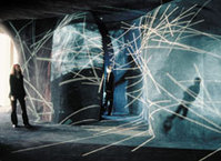Installation view of Web of Life