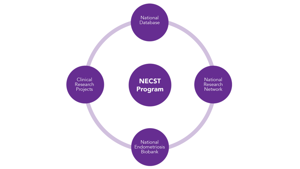 NECST Network - Program outline graphic