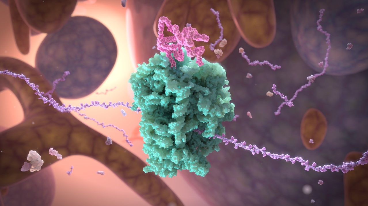 Computer generated RNA image