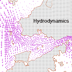 Water Research Laboratory - project Hydrodynamics